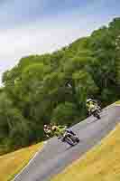 Middle Group Black Bikes